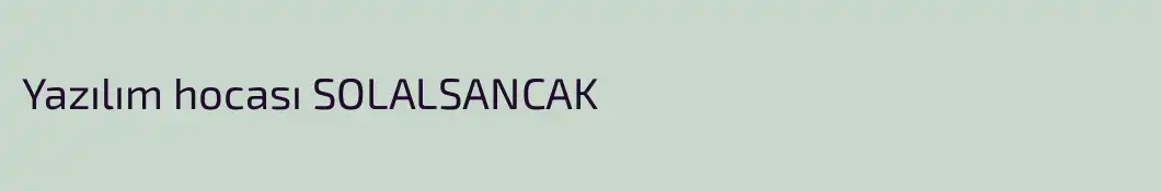 Yazılım hocası SOLALSANCAK